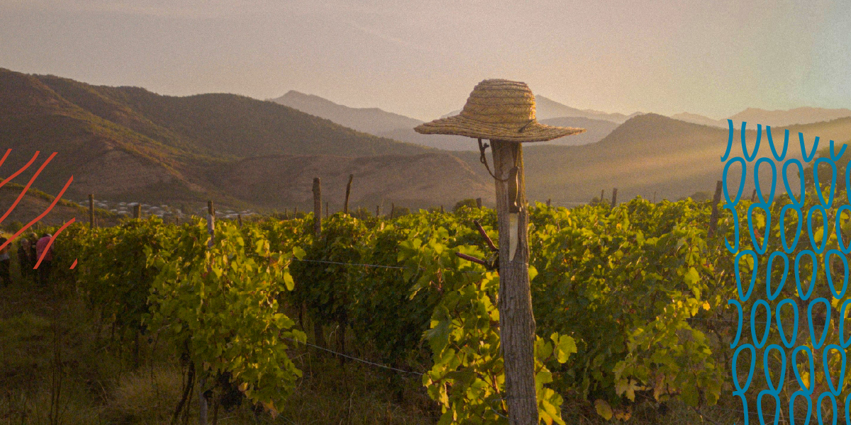 IL <tspan class="color2">VINO</tspan> PARLA GEORGIANO.